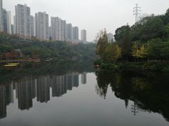 -重庆彩云湖湿地公园