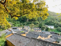-杨家堂村