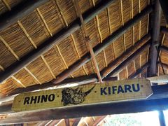 -奥兰多迪士尼动物王国乐园