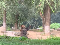 -北京野生动物园