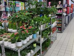 -家乐福(川沙店)