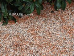 -济南南郊宾馆