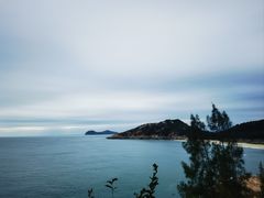 -广东惠东海龟国家级自然保护区