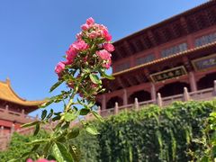 -香山寺