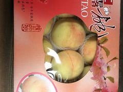 -南汇新场正宗水蜜桃采摘