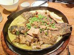 -老板恋上鱼(恒隆广场店)