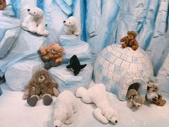 -济州岛泰迪熊博物馆