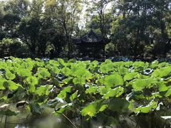 -长兴太湖图影湿地文化园