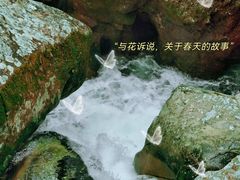 -永泰中国云顶