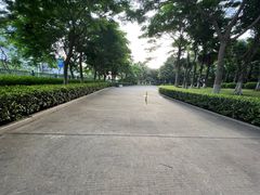 -五通灯塔公园