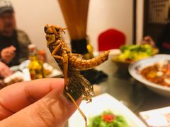 -燕郊烧鸽子(广安路店)