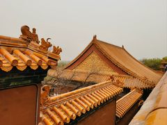 -颐和园
