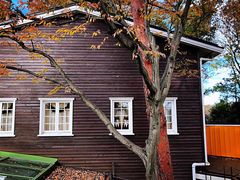 -三鹰之森吉卜力美术馆