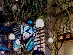 -桂满陇·海市蜃楼·黑金(国金店)