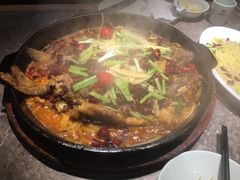 -老板恋上鱼(恒隆广场店)