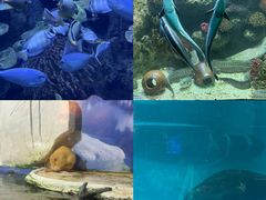 -左海海底世界