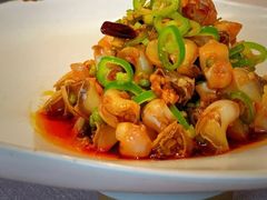 -子福慧(虹桥店)