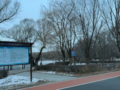 -长春市南湖公园