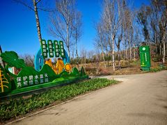 -东郊湿地公园