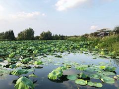 -怡得观滇餐厅·地道昆明菜·1996(海埂大坝店)