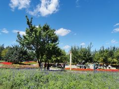 -长春公园(普阳街道)