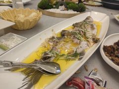 -便宜坊烤鸭店(科创店)