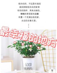 -标婷维生素E乳