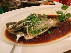 清蒸龙胆石斑鱼-上海小南国(国会店)