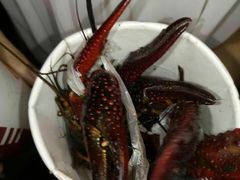 -昆山城市生态森林公园