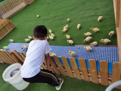 -萌宠亲子动物乐园(槐房万达店)