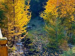 -苏木山森林公园