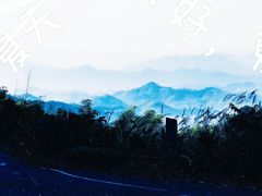 -东天目山风景区