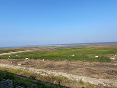 -南汇嘴观海公园