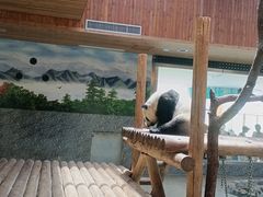 -西安秦岭野生动物园