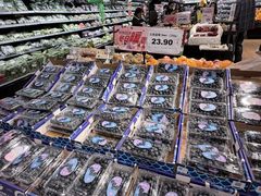 -AEON永旺(东方宝泰店)