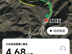 -大岭沟猕猴桃谷风景区