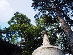 -潭柘寺景区