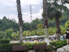 -重庆海昌加勒比海水世界