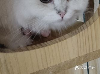 「HAPPINESS·IS·5CM(中心街店)」