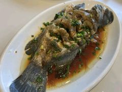 -金海湾海鲜排档(朱家尖店)