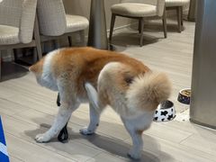 -YCHL Studios健身工作室(市二宫店)