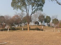 -滨湖塘西河公园