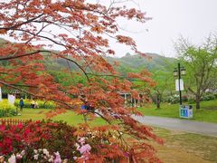-苏州上方山国家森林公园