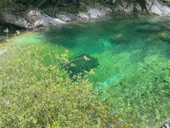 -黄山翡翠谷景区
