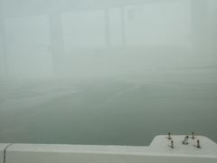 -大湾区中央湿地公园-十九涌