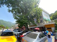 -焦滩大树下鱼头馆(焦滩店)