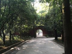 -灵谷景区