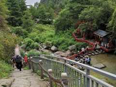 -苍山感通索道