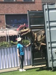 -恐龙探索乐园(磁器口店)