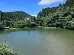 -武陵山森林公园